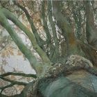 Tree from Clumber Park